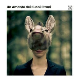 Un Amante dei Suoni Strani - Rumore Bianco