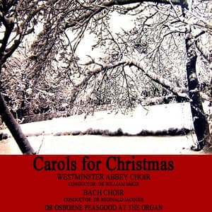 Carols For Christmas - The Bach Choir