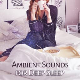Ambient Sounds for Deep Sleep – Stress Relief, Easy Listening, New Age Dreaming, Sleep All Night, Soothing Music - Relaxed Piano Music