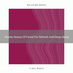 2021 New: Moody Noises Of Forest For Refresh And Deep Sleep - White Noise Meditation