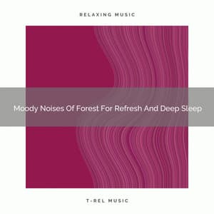 2021 New: Moody Noises Of Forest For Refresh And Deep Sleep - White Noise Meditation