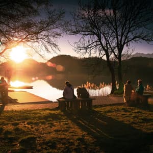 Music for Relaxation and Comfort - Relaxation Meditation and Spa