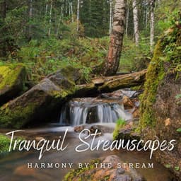 Tranquil Streamscapes: Relaxing Waterscapes - Water Meditations