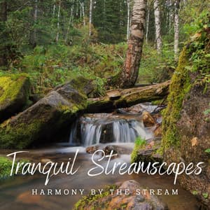 Tranquil Streamscapes: Relaxing Waterscapes - Water Meditations