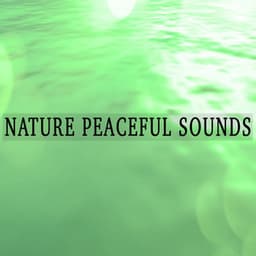 Nature Peaceful Sounds - Peaceful Music