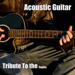 Acoustic Guitar Tribute to the Eagles - Acoustic Guitar Tribute Players