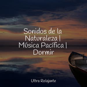 Sonidos de la Naturaleza | Música Pacífica | Dormir - Entrenamiento Autògeno y Meditación Specialistas