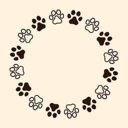 Feline Serenade: Piano Moments - Piano Cat