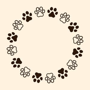 Feline Serenade: Piano Moments - Piano Cat