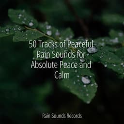 50 Tracks of Peaceful Rain Sounds for Absolute Peace and Calm - Anxiety Relief