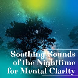 Soothing Sounds of the Nighttime for Mental Clarity - Night Nature Sounds