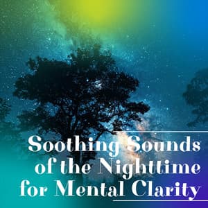 Soothing Sounds of the Nighttime for Mental Clarity - Night Nature Sounds