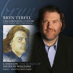 Caneuon Meirion Williams / The Songs Of Meirion Williams - Bryn Terfel