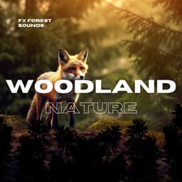 Woodland Nature, Forest Sounds - FX Forest Sounds