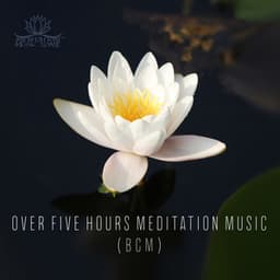 Over Five Hours Meditation Music - Meditation Music Zone