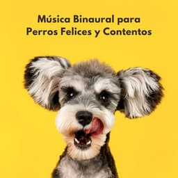 Música Binaural Para Perros Felices Y Contentos - Bestia binaural