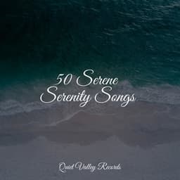 50 Serene Serenity Songs - Música de la Naturaleza