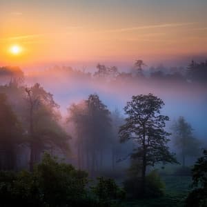 Lofi Para Descansar: Ritmos Suaves Para La Relajación - Chill Hop Playlist