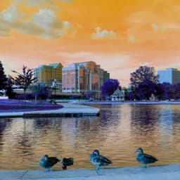 Backdrop for Sitting Back Universe - Ontspannende Muziek