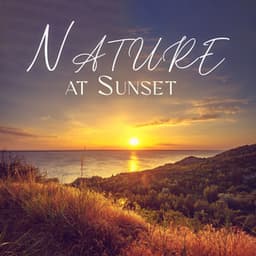 Nature at Sunset: Soothing Relaxing Melodies, Deeply Stress-Relieving Nature Sounds, Peaceful Instrumental Music For Unwinding - Nature Music Pregnancy Academy