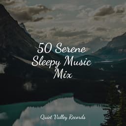 50 Serene Sleepy Music Mix - ASMR Sleep Sounds