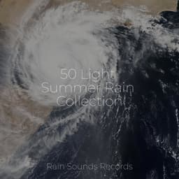 50 Light Summer Rain Collection - Ambiente