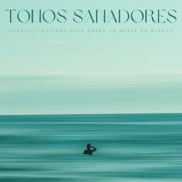 Tonos Sanadores: Suaves Lloviznas Para Poner La Mente En Blanco - Meditaciónessa