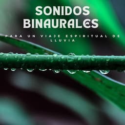 Sonidos Binaurales Para Un Viaje Espiritual De Lluvia - Cara de lluvia