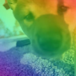 Quiet Jazz Piano Duo - Ambiance for Puppy Training Time - Relaxing Dog Music Classics