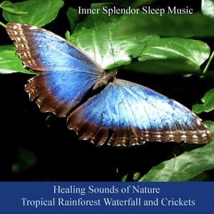 Healing Sounds of Nature Tropical Rainforest Waterfall and Crickets - Inner Splendor Sleep Music