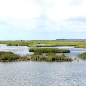 Soothing Collection of Brown Noise, Brown Waves, and other Ambiences - Relax