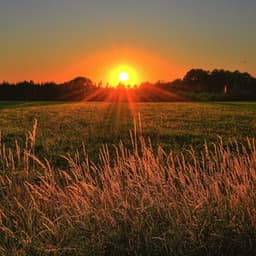 Easy Sleep White Sound - Black Noise Sleep