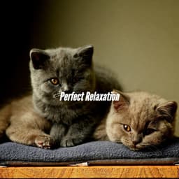 Perfect Relaxation - Cocktail Jazz Deluxe