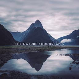 The Nature Soundscapes - Emerald Misty