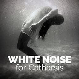 White Noise for Catharsis - White Noise 2015