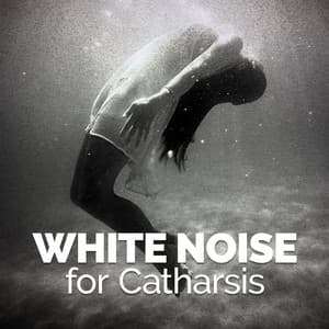 White Noise for Catharsis - White Noise 2015