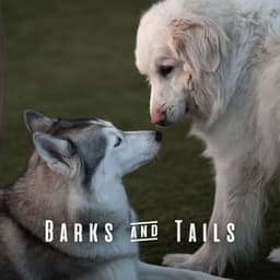 Barks & Tails: Chill Music for Dogs - Upbeat Morning Music