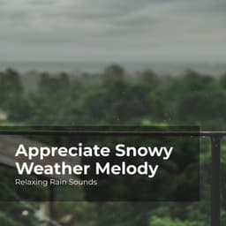 Appreciate Snowy Weather Melody - Relaxing Rain Sounds