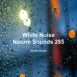 White Noise 285 - White Noise