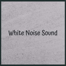 White Noise Sound - Background Noise From TraxLab
