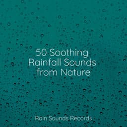 50 Soothing Rainfall Sounds from Nature - Musica para Bebes