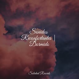 Sonidos Reconfortantes | Dormido - Sonido de lluvia