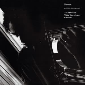 Pancha Nadai Pallavi - Shankar