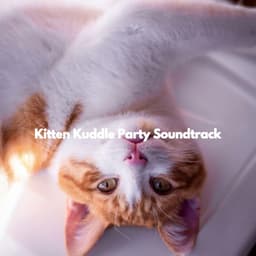 Kitten Kuddle Party Soundtrack - Super Jazz Cafe Music