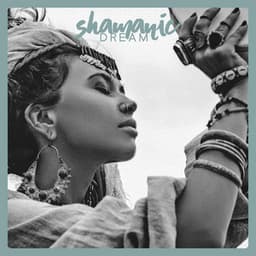 Shamanic Dream - Armonia Cuore