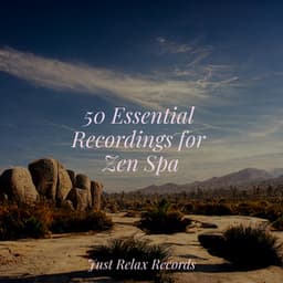 50 Essential Recordings for Zen Spa - Yoga Namaste