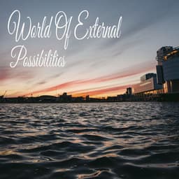 World Of External Possibilities - Ruído Branco