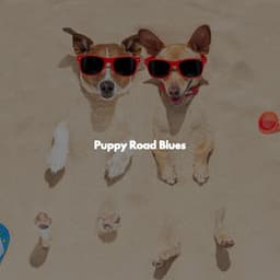 Puppy Road Blues - Jazz Radio