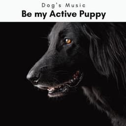 4 Dogs: Be my Active Puppy - Dog's Music