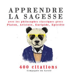 Apprendre la sagesse avec les philosophes classiques grecs 400 citations - Platon